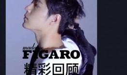 肖战费加罗最新爆料,揭秘明星幕后生活与心路历程